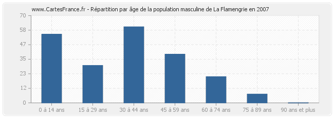 Répartition par âge de la population masculine de La Flamengrie en 2007